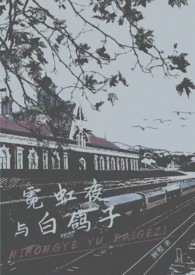 霓虹夜与白鸽子(金主)